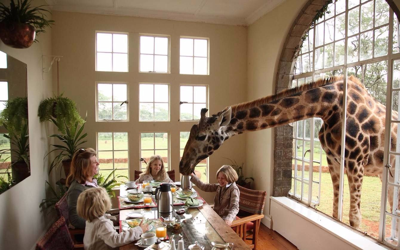 Giraffe Manor Найроби, Кения